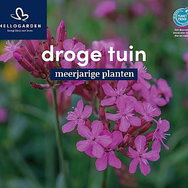 displaybord 2025 Nederlands - droge tuin