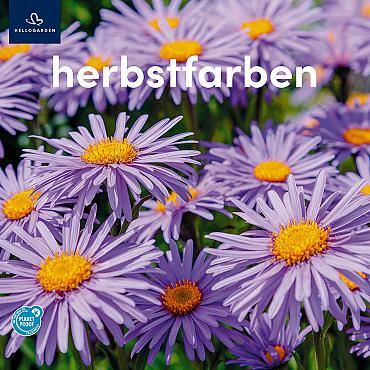 zeildoek 2025 Duits - herbstfarben