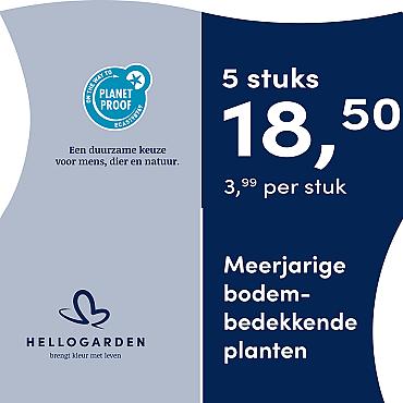 prijsmolen 2025 Nederlands - blauwe pot 3,99 per stuk - 5 stuks 18,50