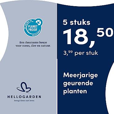 prijsmolen 2025 Nederlands - blauwe pot 3,99 per stuk - 5 stuks 18,50