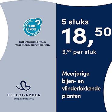 prijsmolen 2025 Nederlands - blauwe pot 3,99 per stuk - 5 stuks 18,50