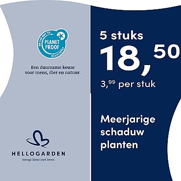prijsmolen 2025 Nederlands - blauwe pot 3,99 per stuk - 5 stuks 18,50