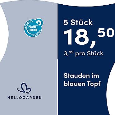 prijsmolen 2025 Duits - blauen Topf 3,99 pro Stück - 5 Stück 18,50