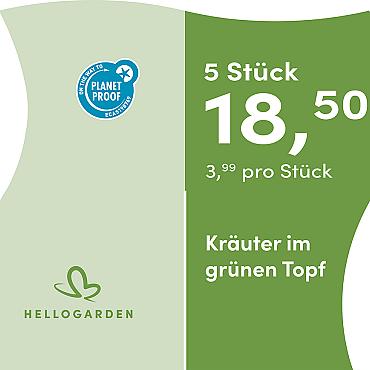 prijsmolen 2025 Duits - grünen Topf 3,99 pro Stück - 5 Stück 18,50