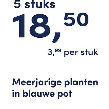 prijskaart 2025 Nederlands - <strong>blauwe pot 3,99 per stuk - 5 stuks 18,50</strong>
