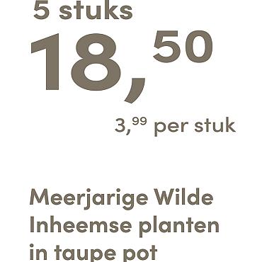 prijskaart 2025 Nederlands - <strong>taupe pot 3,99 per stuk - 5 stuks 18,50</strong>