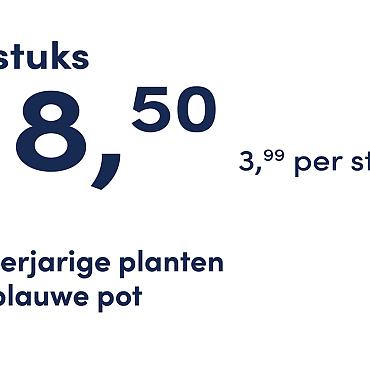 prijskaart 2025 Nederlands - <strong>blauwe pot 3,99 per stuk - 5 stuks 18,50</strong>