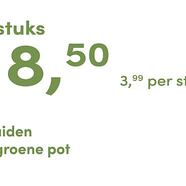 prijskaart 2025 Nederlands - <strong>groene pot 3,99 per stuk - 5 stuks 18,50</strong>