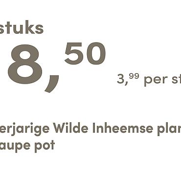 prijskaart 2025 Nederlands - <strong>taupe pot 3,99 per stuk - 5 stuks 18,50</strong>