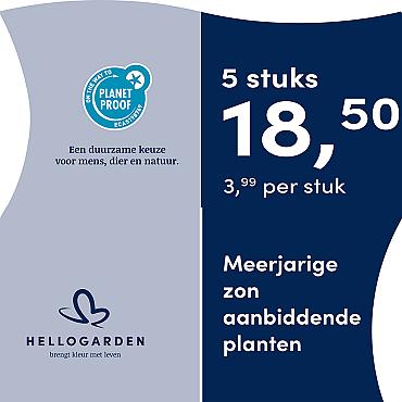 prijsmolen 2025 Nederlands - blauwe pot 3,99 per stuk - 5 stuks 18,50