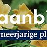 tafelbanner 2025 Nederlands - zonaanbidders
