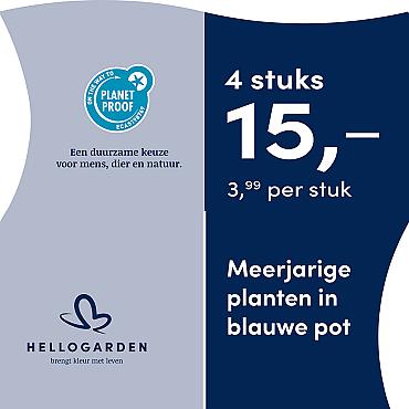 prijsmolen 2025 Nederlands - blauwe pot 3,99 per stuk - 4 stuks 15,-