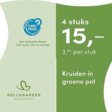 prijsmolen 2025 Nederlands - groene pot 3,99 per stuk - 4 stuks 15,-