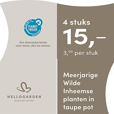 prijsmolen 2025 Nederlands - taupe pot 3,99 per stuk - 4 stuks 15,-