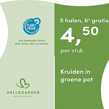 prijsmolen 2025 Nederlands - groene pot 4,50 per stuk - 5 halen, 6e gratis