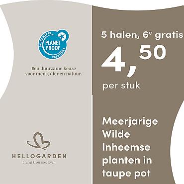 prijsmolen 2025 Nederlands - taupe pot 4,50 per stuk - 5 halen, 6e gratis