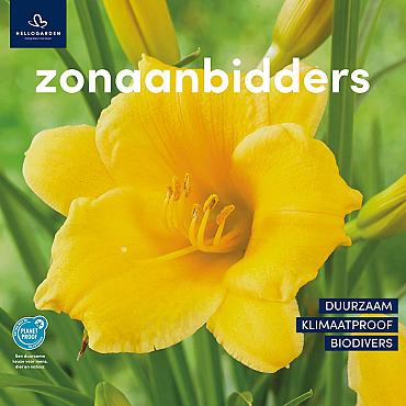 zeildoek 2025 Nederlands - zonaanbidders