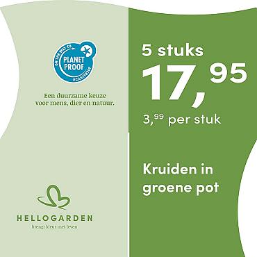 prijsmolen 2025 Nederlands - groene pot 3,99 per stuk - 5 stuks 17,95