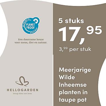 prijsmolen 2025 Nederlands - taupe pot 3,99 per stuk - 5 stuks 17,95