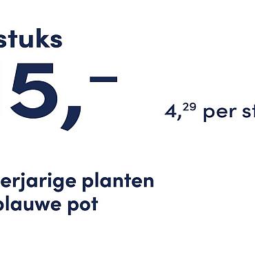 prijskaart 2025 Nederlands - blauwe pot 4,29 per stuk - 4 stuks 15,-