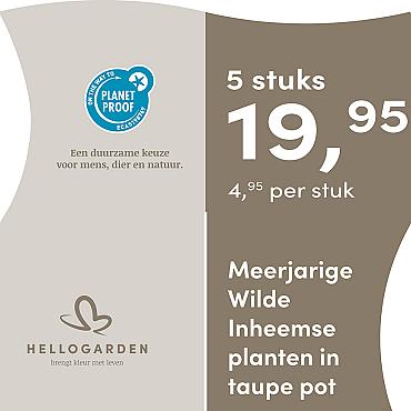 prijsmolen 2025 Nederlands - taupe pot 4,95 per stuk - 5 stuks 19,95
