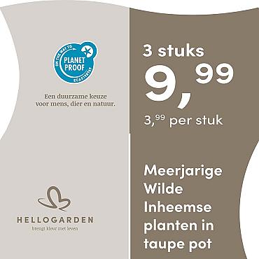prijsmolen 2025 Nederlands - taupe pot 3,99 per stuk - 3 stuks 9,99