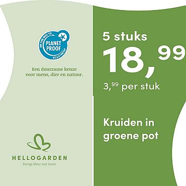 prijsmolen 2025 Nederlands - groene pot 3,99 per stuk - 5 stuks 18,99