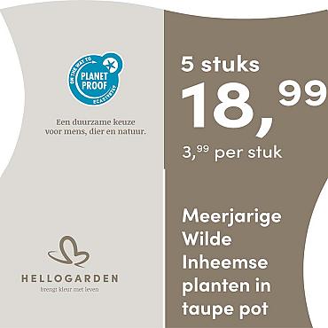 prijsmolen 2025 Nederlands - taupe pot 3,99 per stuk - 5 stuks 18,99