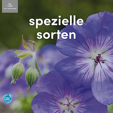zeildoek 2025 Duits - spezielle sorten