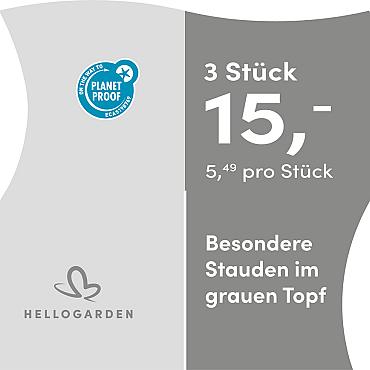 prijsmolen 2025 Duits - grauen Topf 5,49 pro Stück - 3 Stück 15,-