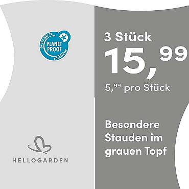 prijsmolen 2025 Duits - grauen Topf 5,99 pro St&uuml;ck - 3 St&uuml;ck 15,99