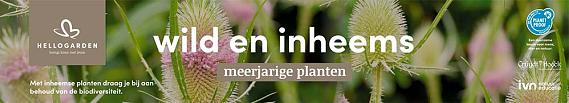 tafelbanner 2025 Nederlands - wild en inheems