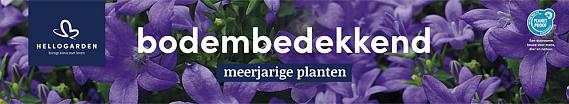 tafelbanner 2025 Nederlands - <strong>bodembedekkend</strong>