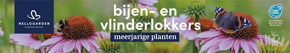 tafelbanner 2025 Nederlands - <strong>bijen- en vlinderlokkers</strong>