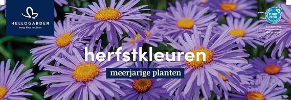 displaybord 2025 Nederlands - herfstkleuren