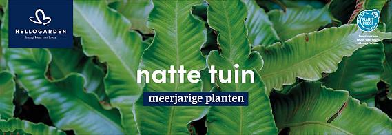 displaybord 2025 Nederlands - natte tuin