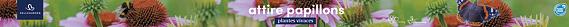 tafelbanner 2025 Frans - attire papillons