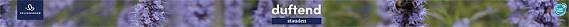 tafelbanner 2025 Duits - duftend