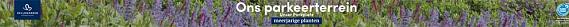 tafelbanner 2025 Nederlands-Duits - Ons parkeerterrein | Unser Parkplatz (TC Leurs)