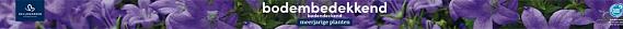 tafelbanner 2025 Nederlands-Duits - bodembedekkend | bodendeckend