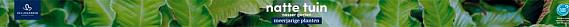 tafelbanner 2025 Nederlands-Duits - natte tuin | nasser garten