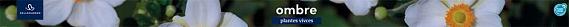 tafelbanner 2025 Frans - ombre