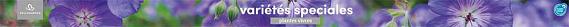 tafelbanner 2025 Frans - variétés speciales