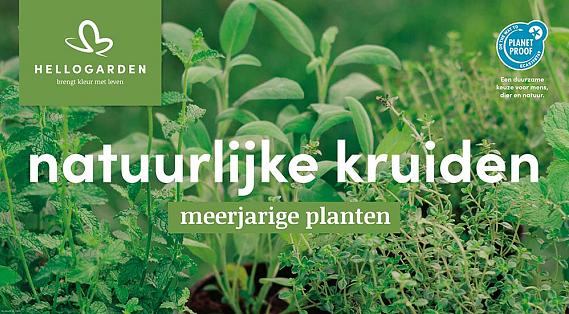 displaybord 2025 Nederlands - natuurlijke kruiden