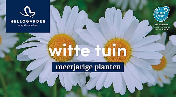 displaybord 2025 Nederlands - witte tuin