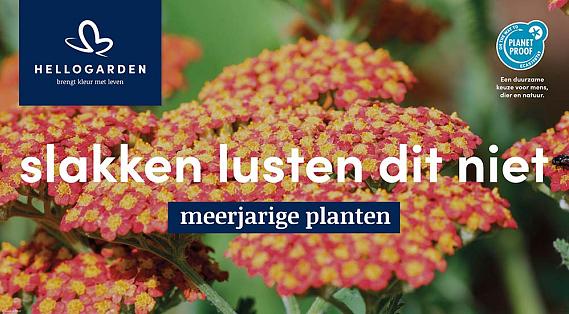 displaybord 2025 Nederlands - slakken lusten dit niet