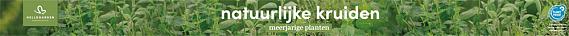 tafelbanner 2025 Nederlands - natuurlijke kruiden