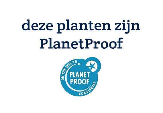 Kaart PlanetProof