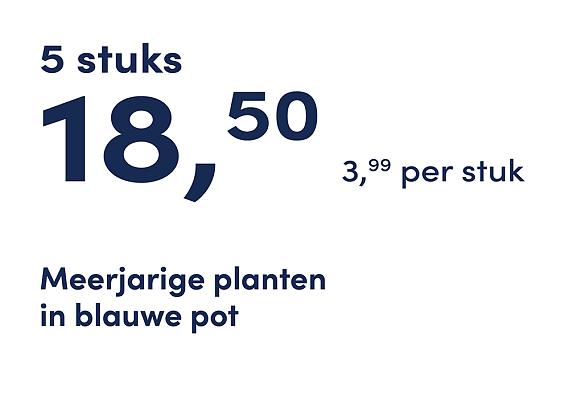 prijskaart 2025 Nederlands - <strong>blauwe pot 3,99 per stuk - 5 stuks 18,50</strong>