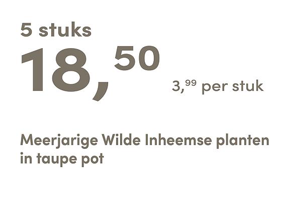 prijskaart 2025 Nederlands - <strong>taupe pot 3,99 per stuk - 5 stuks 18,50</strong>
